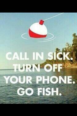 chcarr44's profile picture. 