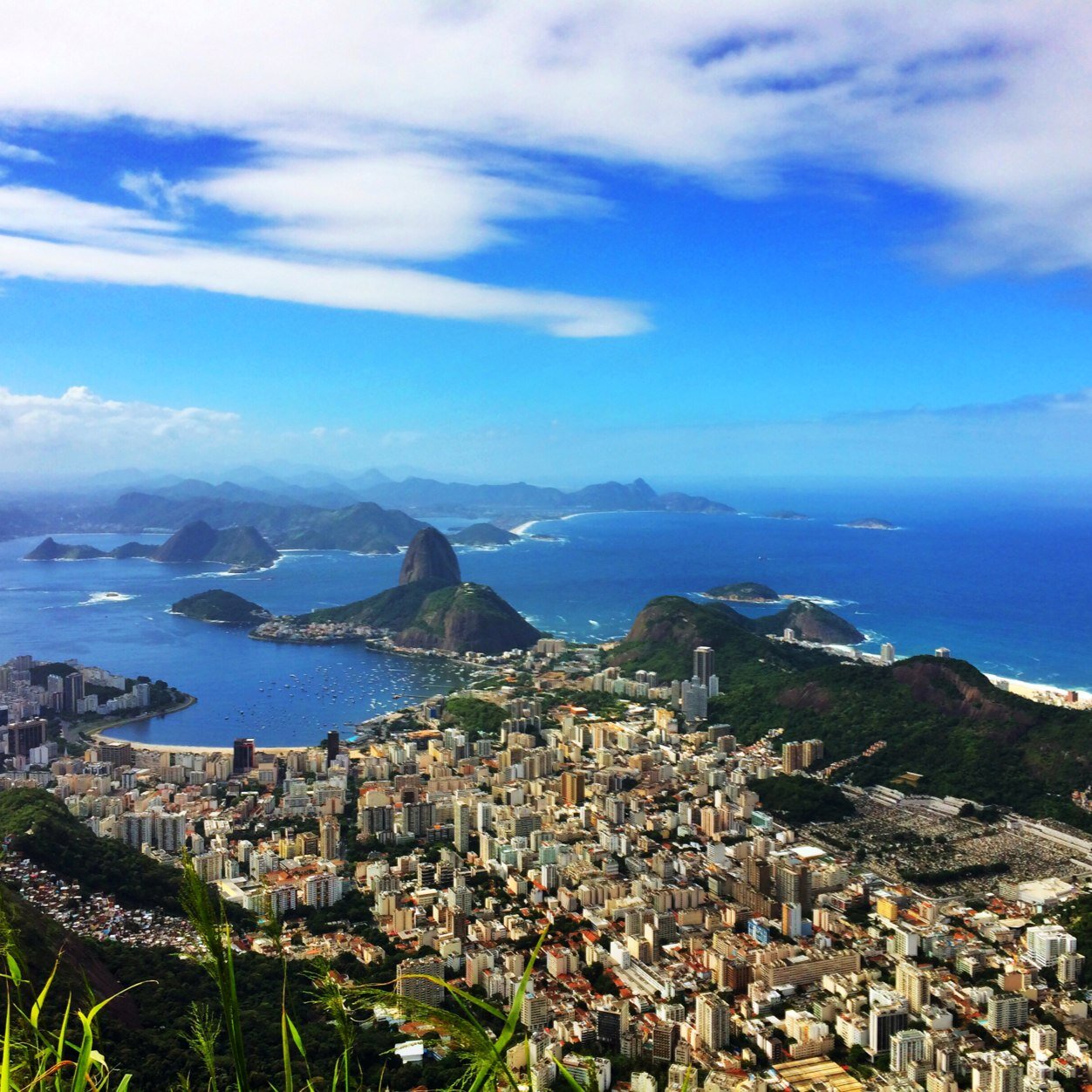 ginnybubs's profile picture. -