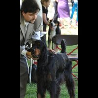 Daniel Carrizosa (@dcarrizosamd) 's Twitter Profile