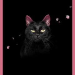utanchop's profile picture. 