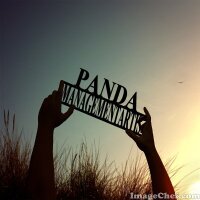 Management Artis (@pandamanagement) 's Twitter Profile