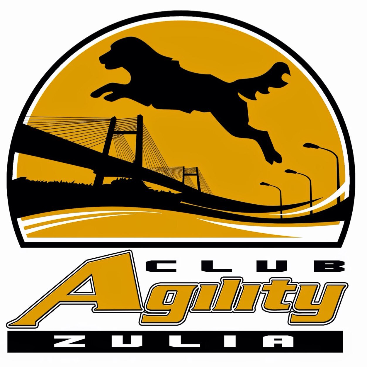golden retriever agility training