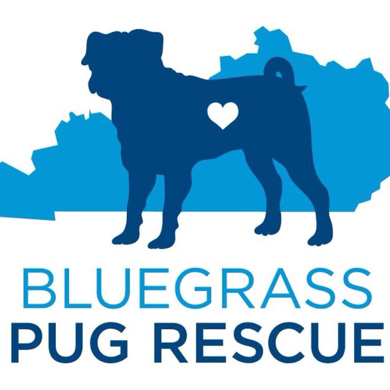 Bluegrass Pug Rescue's mission is to rescue abused, abandoned, homeless unwanted, sick or injured Pugs, rehabilitate them, and place them into loving homes.