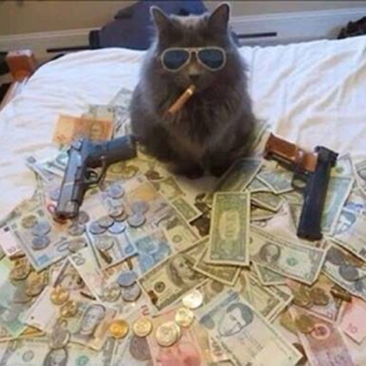 Sings Soprano In The Cats Choir Dont Sleep With The Fishes. Meow Meow, Ain't Gonna Take My Gun No How! #MAGA2020