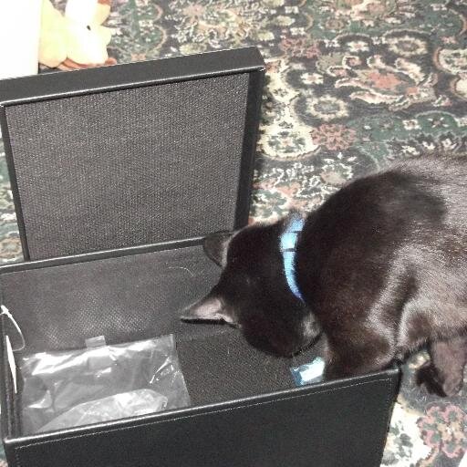 DanDearnley1's profile picture. 