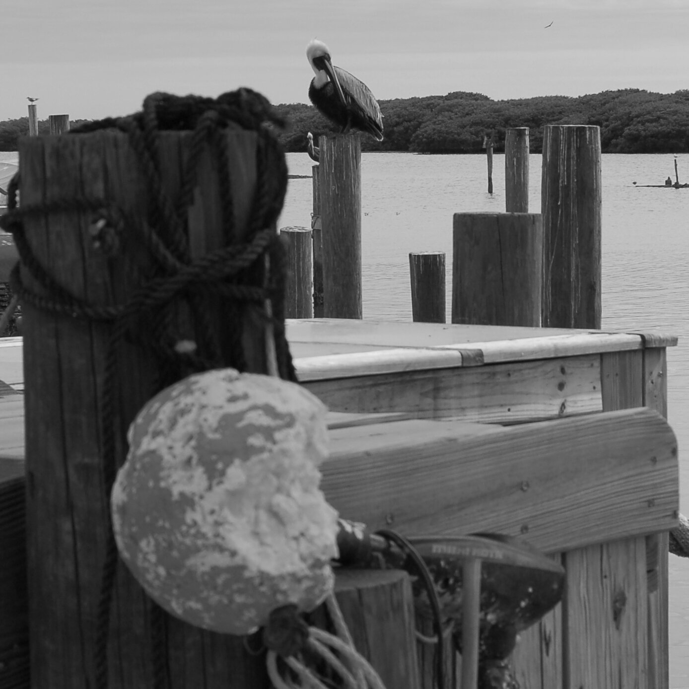 Best things in life: Faith, Family, Friends, Florida, Flyfishing, Beer, Photos, and spoiling my Granddaughter