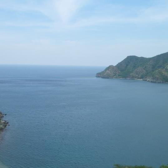 alejandro221410's profile picture. 