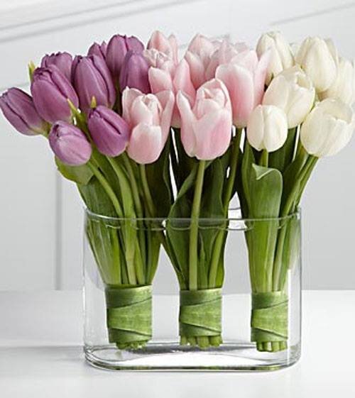 Trollingers Florist on Main 
301 S. Main St Burlington, NC 27215
p. 336.226.1668
e. trollingersflorist@gmail.com