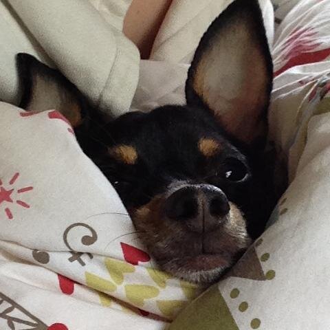 Angusthewino's profile picture. Thats me!