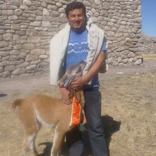 licenciado en educación
