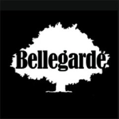 L'énergie d'un rock tendu et la fragilité d'une chanson.