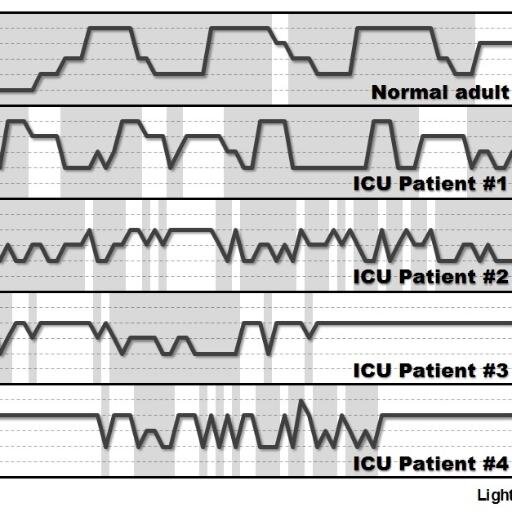 Forum for critical care practitioners dedicated to understanding and improving sleep in critically ill patients