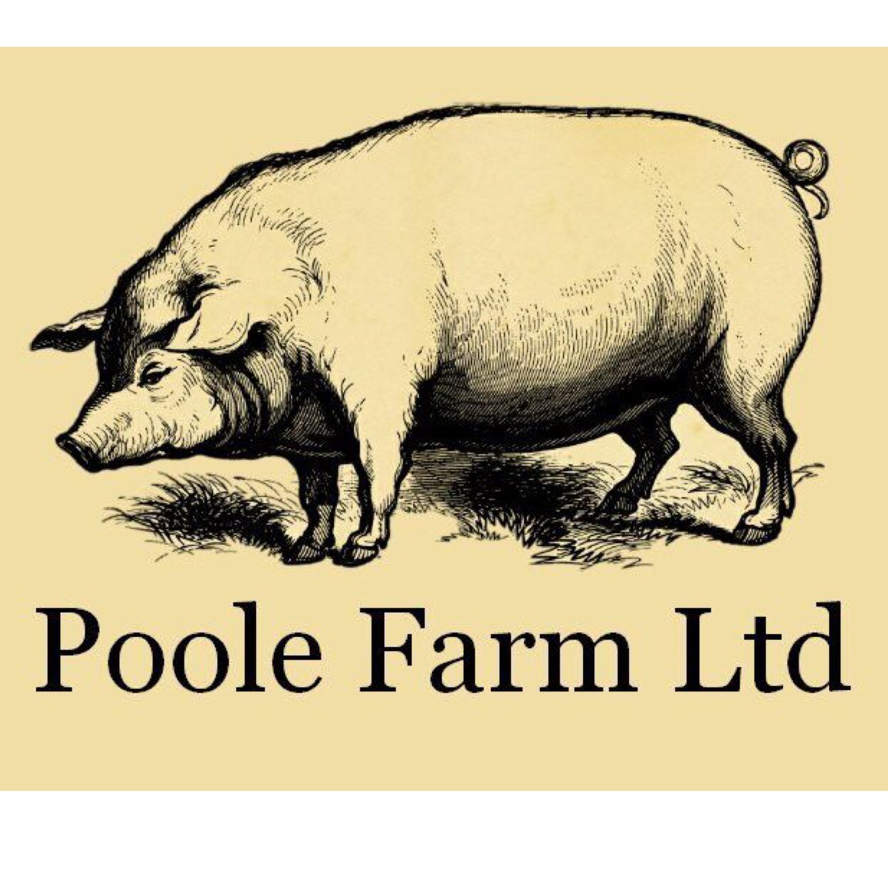 poolefarmltd's profile picture. Hogging the limelight and roasting the competition... We locally produce hog roasts and homemade pasties which are available for parties,weddings and festivals.