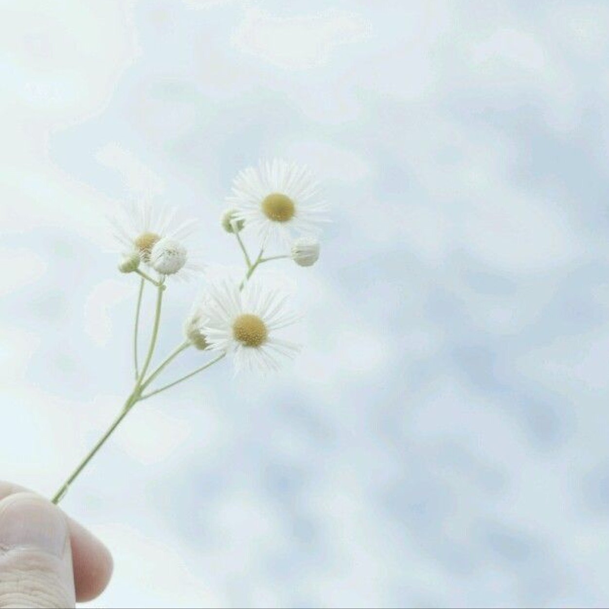 새벽녘 샛소리가 참으로 좋다. 오직 그때만 좋다. 사람도 그렇게 좋을때가 있다. 그때만..