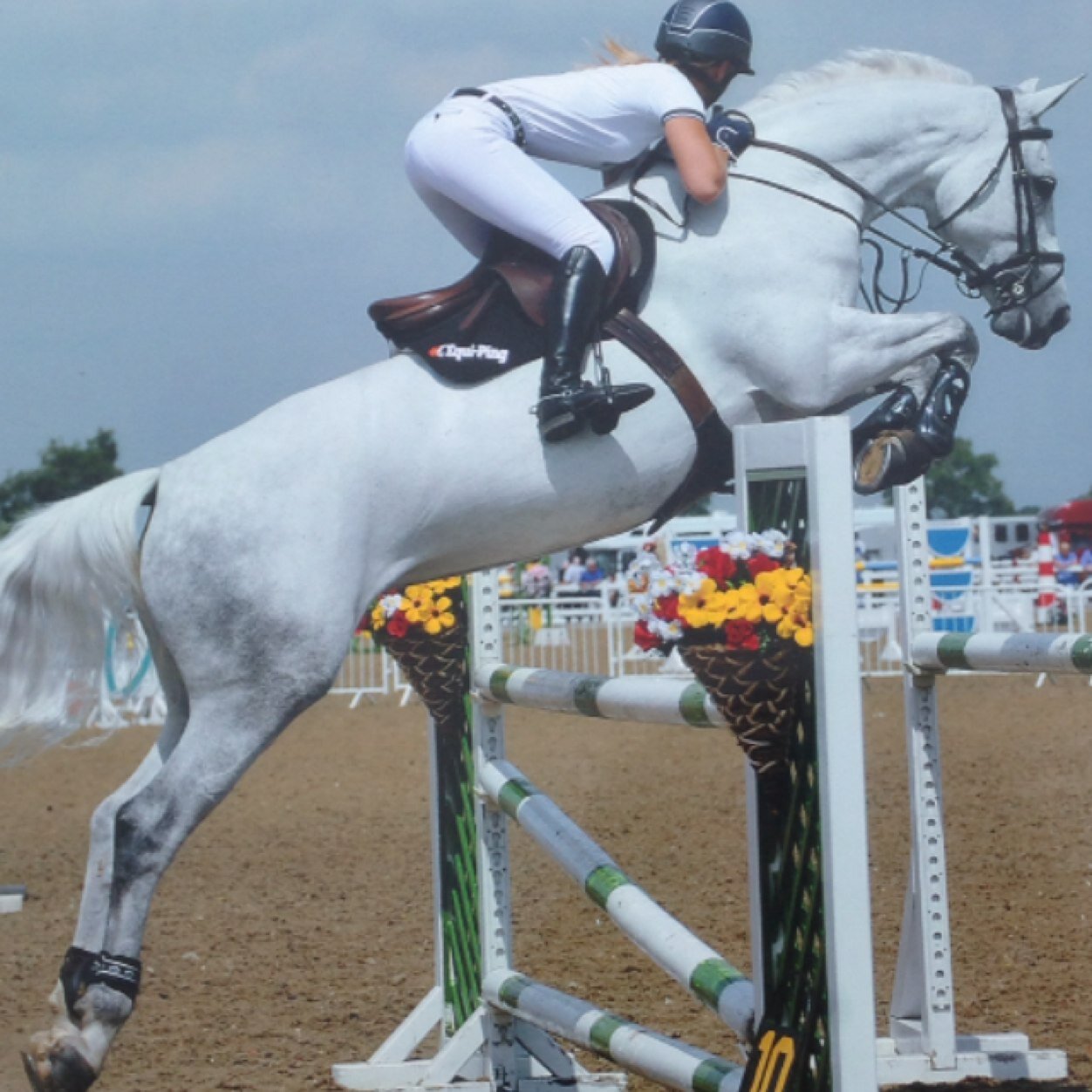 cathywardle's profile picture. 