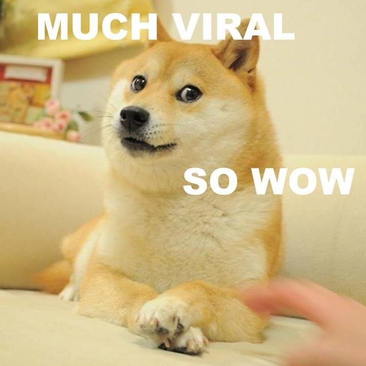 So much fun...so much viral. A collection of the internetz best stuff!