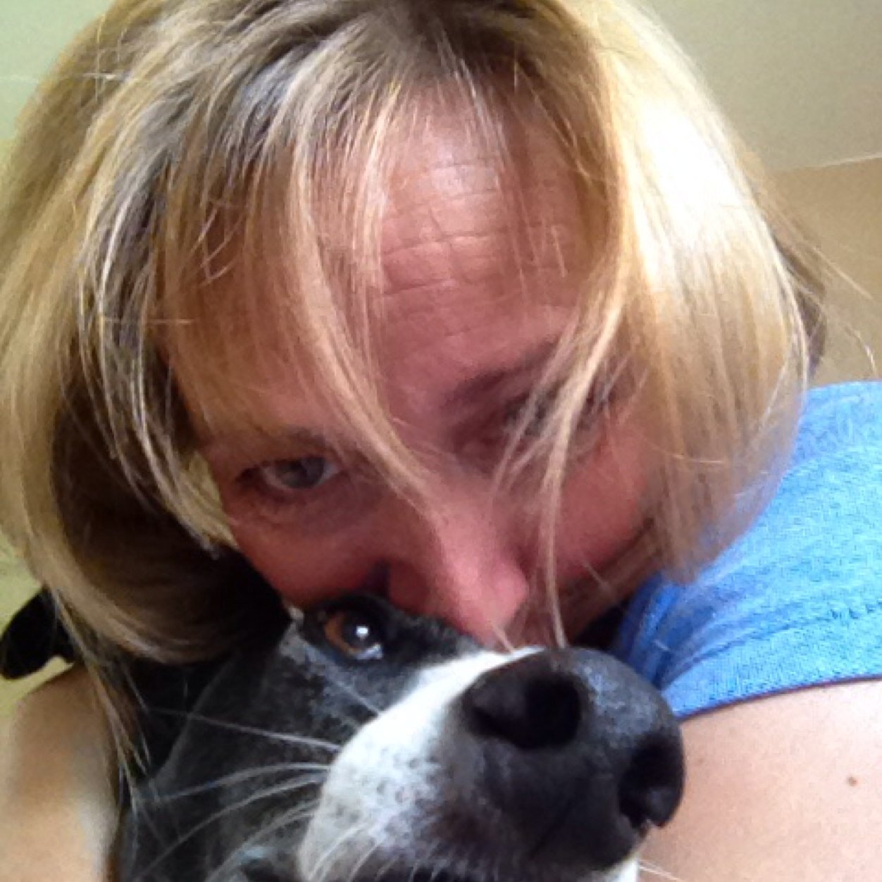 julia_a_mills's profile picture. 