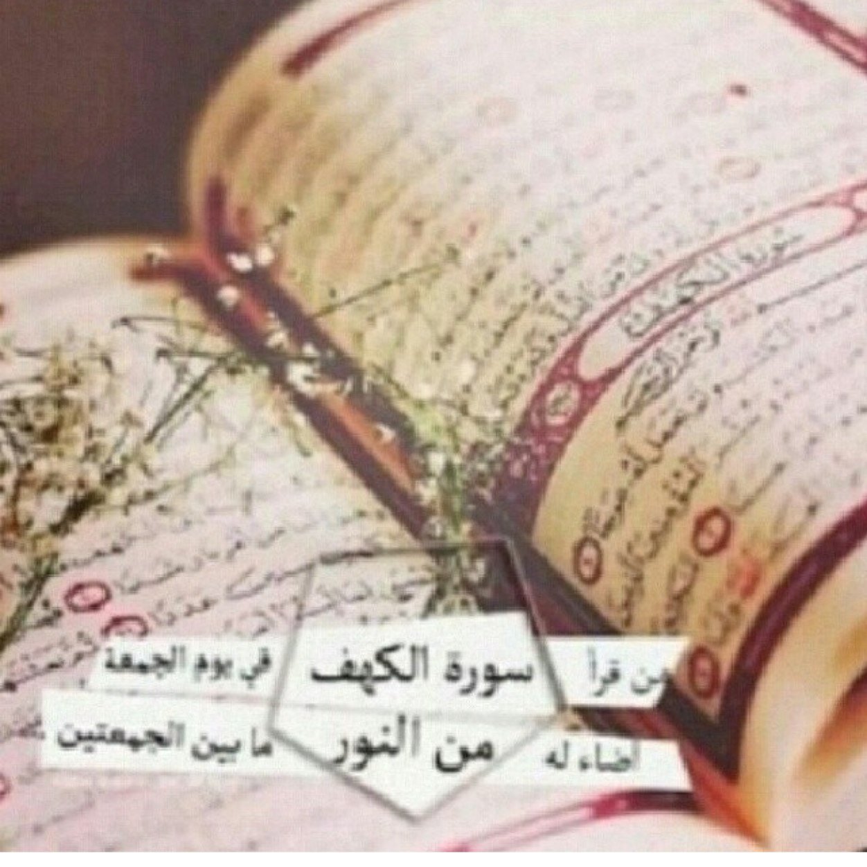 ممكن اتقبل اي شي منكم الا ثلاث تهين كرامتي او تخوني او تكذب علي