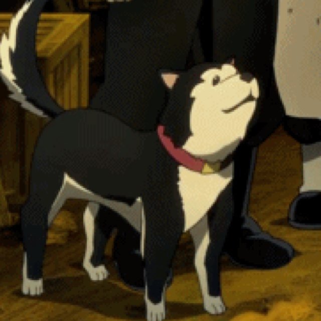 I'm Black Hayate, an actual dog of the militay. My unofficial rank is 2nd Lieutenant. I live for my mistress 1st Lieutenant @Riza_Hawkeye_65. [#RP]
