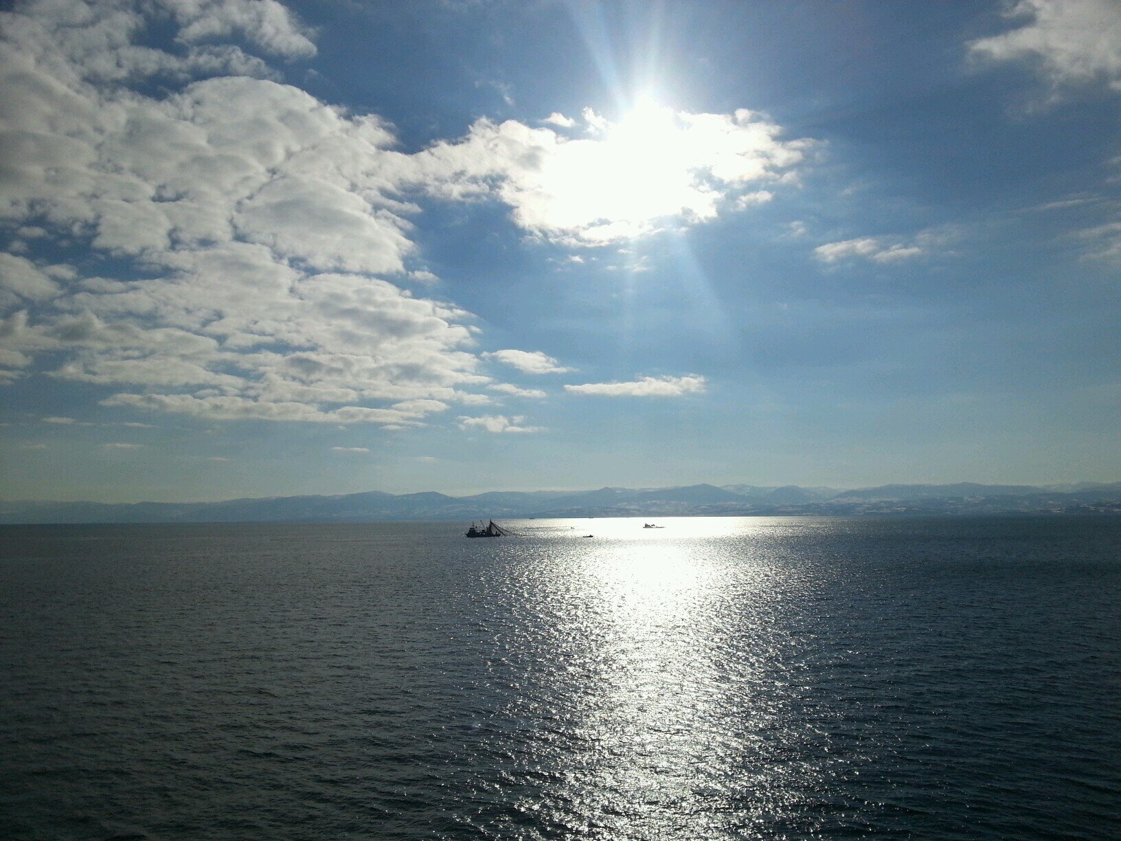 mualtek's profile picture. 