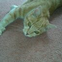 Cheryl Sewell - @cherylsewell49 - Twitter