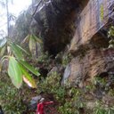 Krista Phipps - @KristaPhipps - Twitter