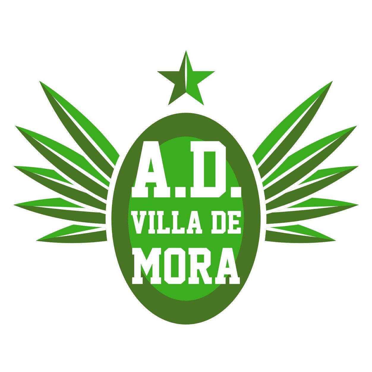 Asociación Villa de Mora. Eventos futbol sala. IV Clinic Futbol Sala - III Maraton FSF - II Maraton FS