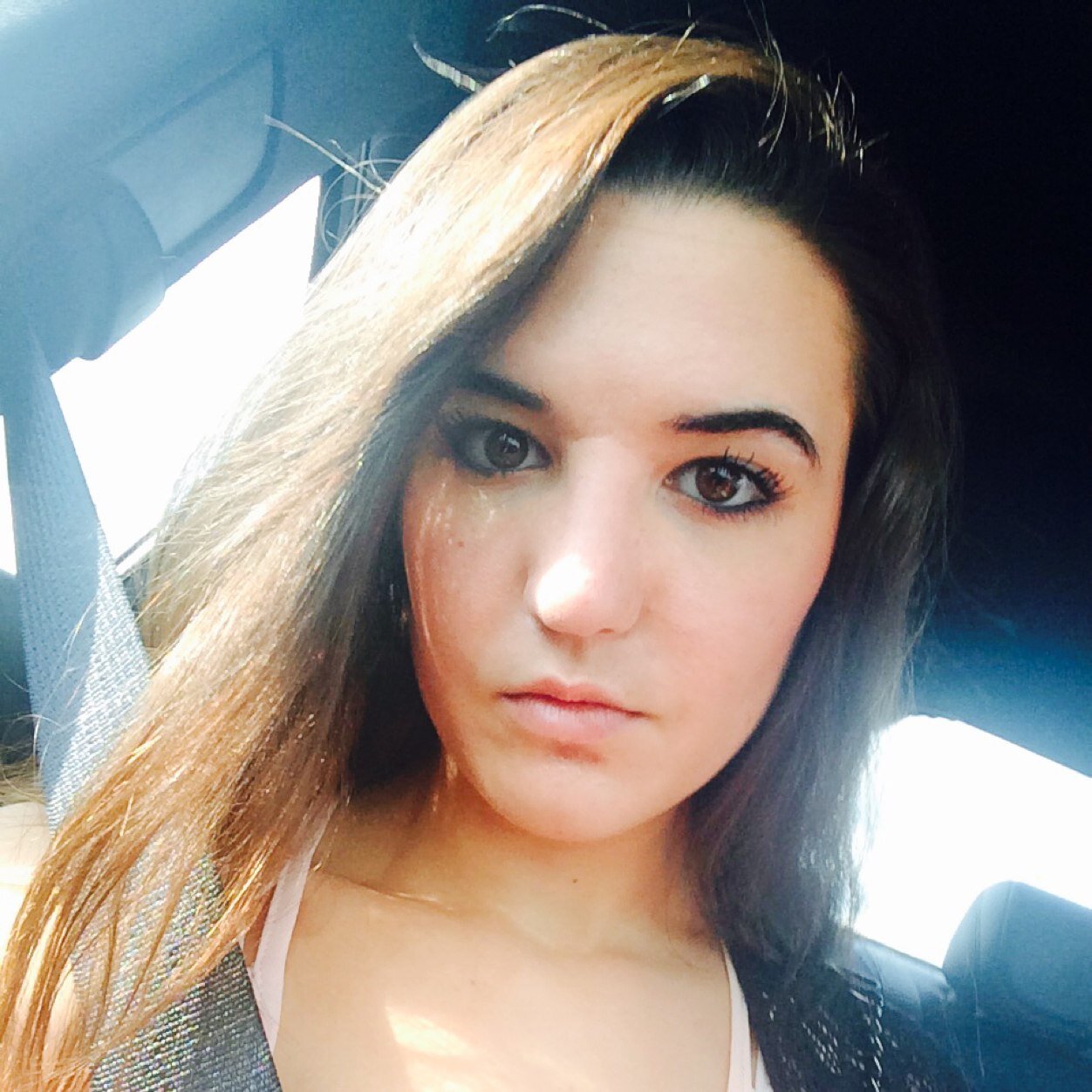mirrdwog Profile Picture