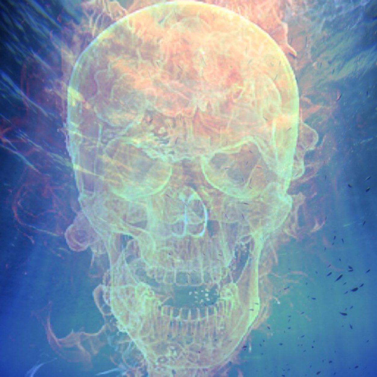 zman101's profile picture. 