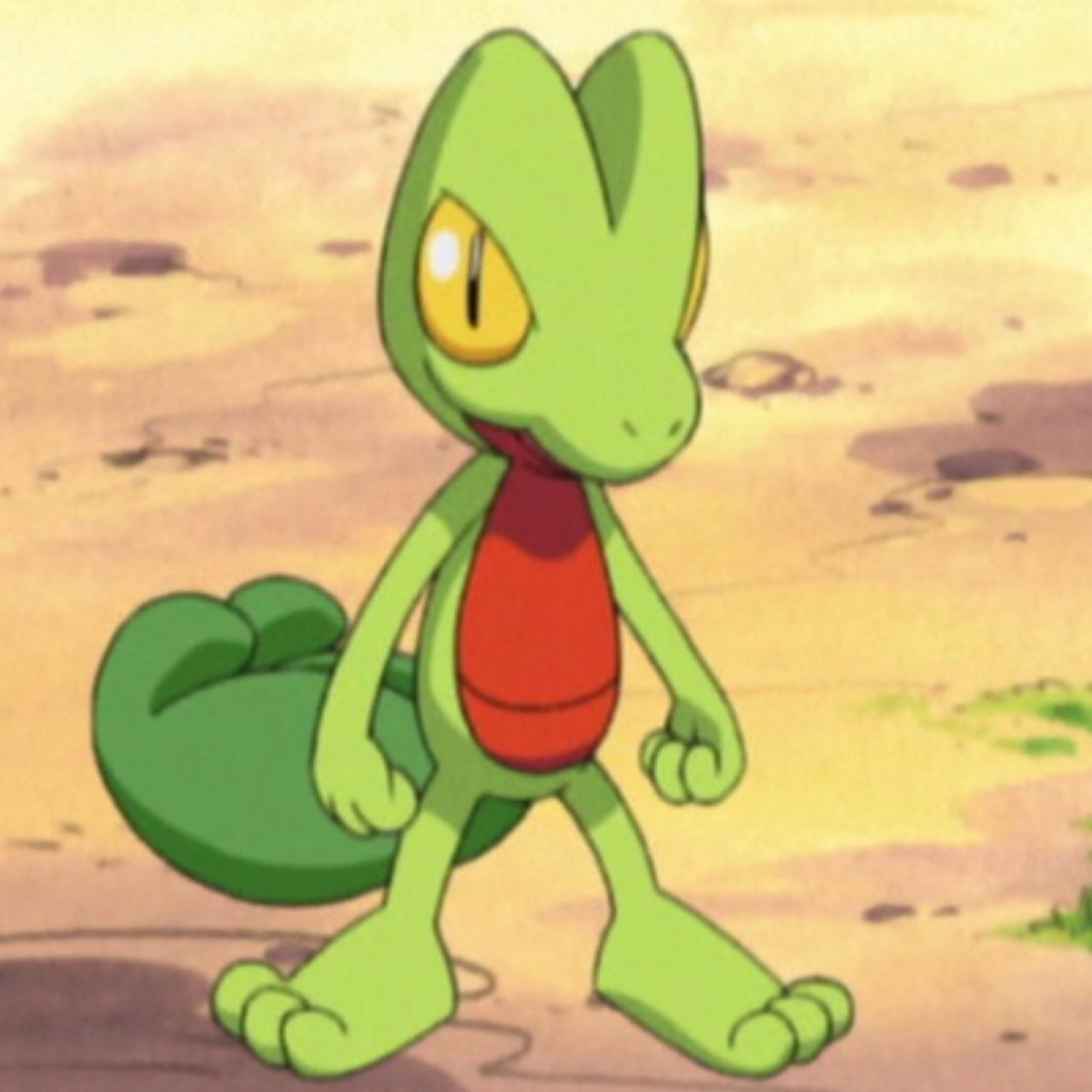 Sceptile0254's profile picture. Just started out, OT:Ash I spent a lot of my time taking care of my home tree, sadly snapped in half, traveling with Ash across Hoenn! Lvl:13