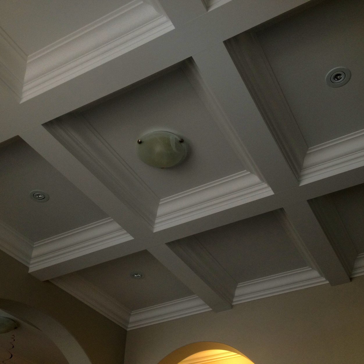 RapsFanFergus's profile picture. 