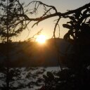 Stephen Lima - @tweetstephenleb - Twitter