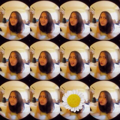 Instagram:ivonnavia