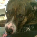 Alma Rosa Loreto Luc - @LoretoAlma - Twitter