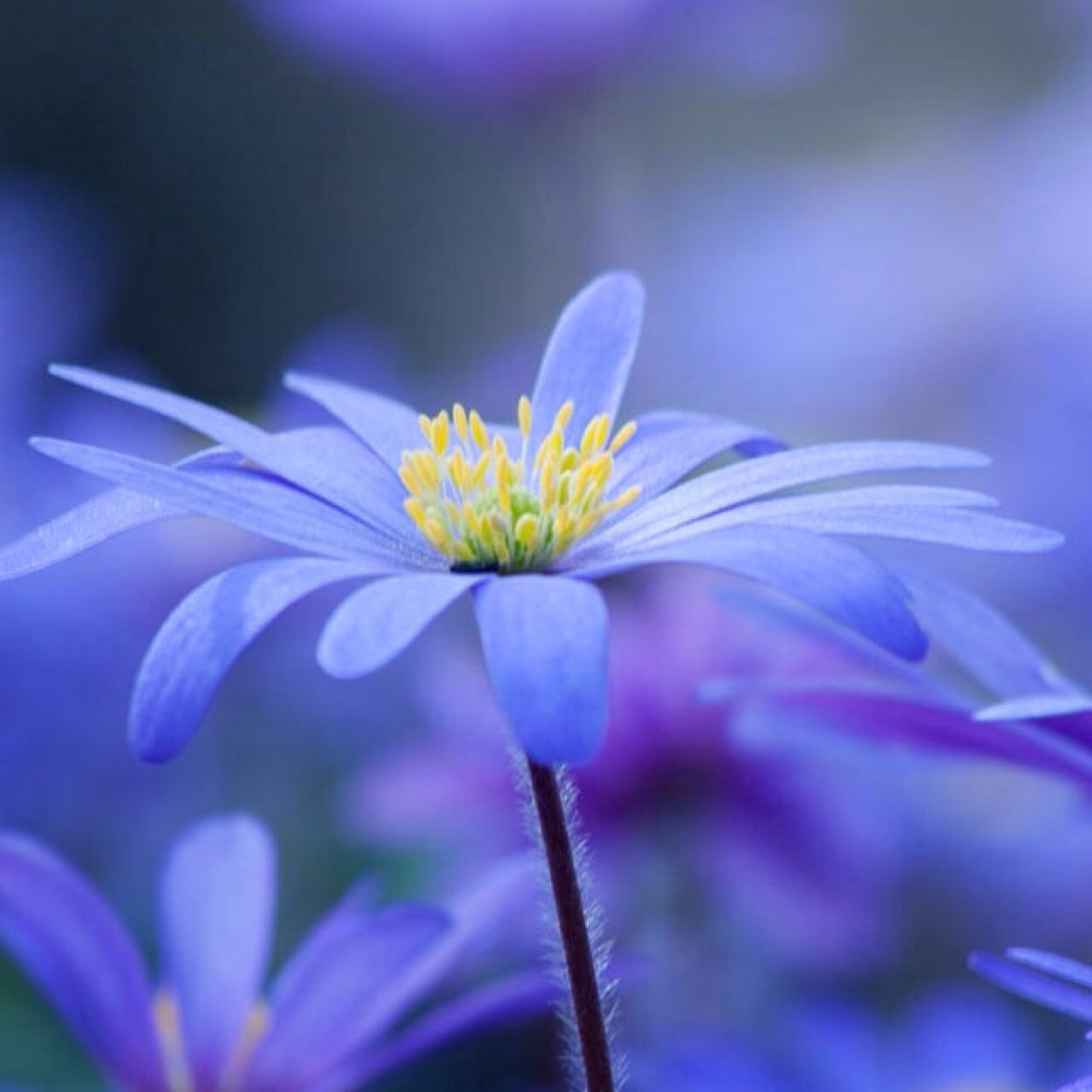 Have a nice day..
ֆʊʍօռTǟɦֆǟռ