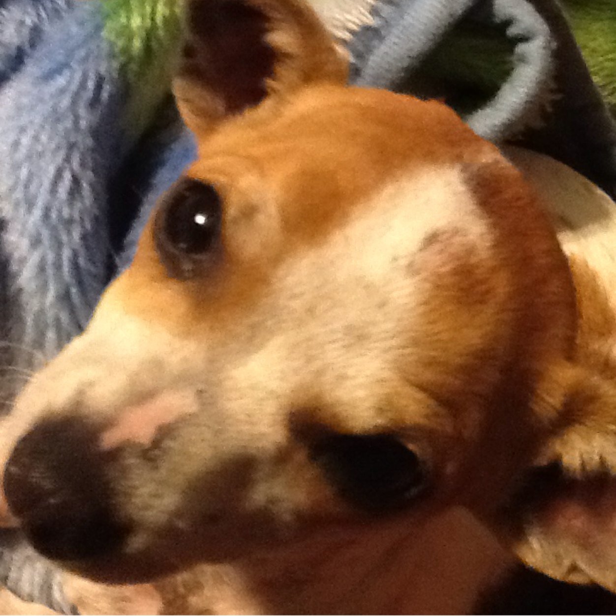 EvelynBird's profile picture. 