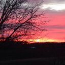 Michelle Fifield - @FifieldMichelle - Twitter