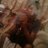 CarlosDavid_x3's profile image
