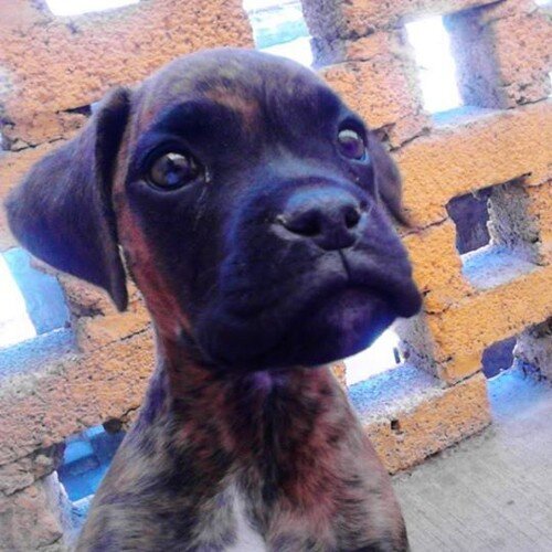 RayRayzon's profile picture. 