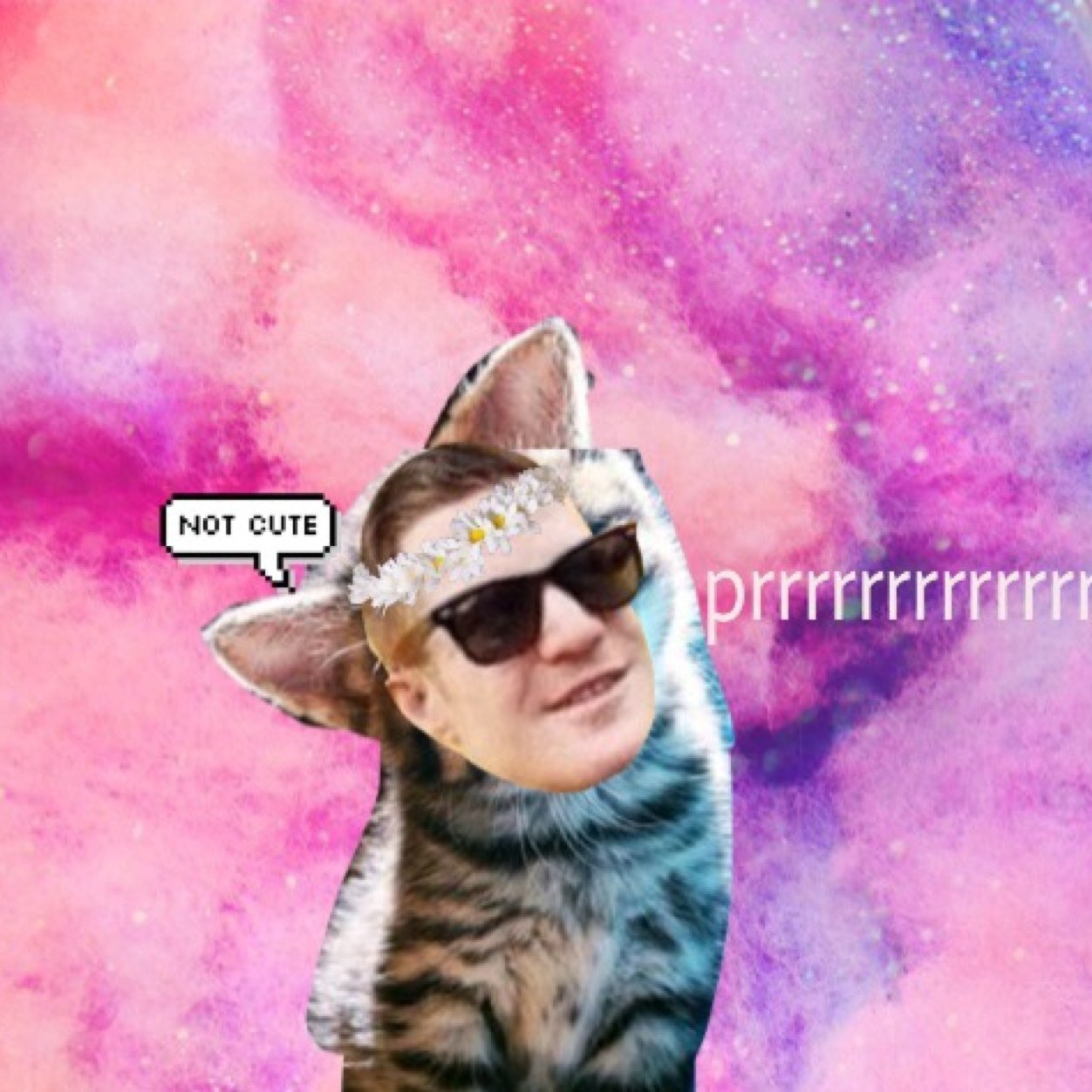 prrrrrrrley's profile picture. part time vegan, part time rock and roll pussy  follow from @thnksfrthfoboys