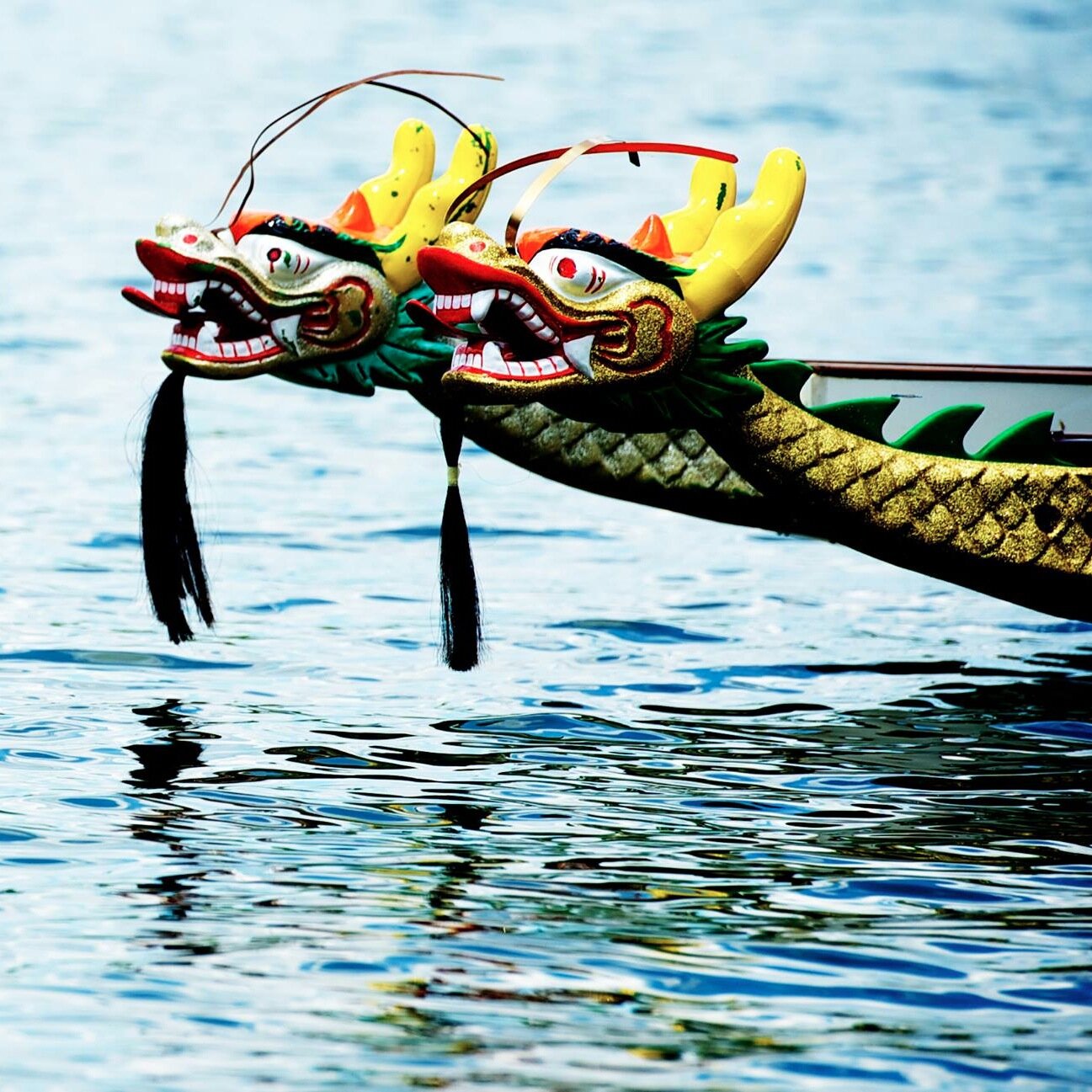 U.S. dragon boat festival management managing fundraisers for charities with $13 million raised in 19 years #Dynamic