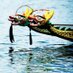 racedragonboats.com (@racedragonboats) Twitter profile photo