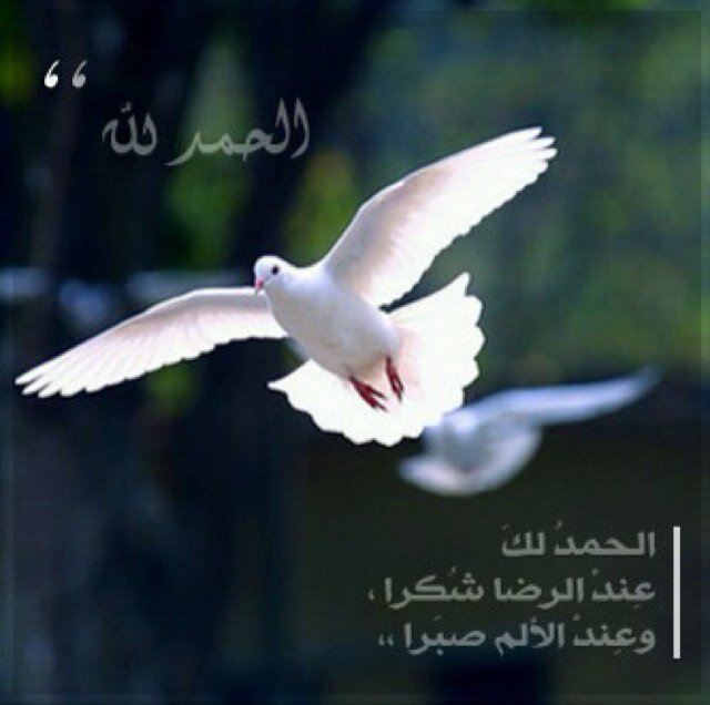 A daughter of great Parents. استغفر الله ♡~