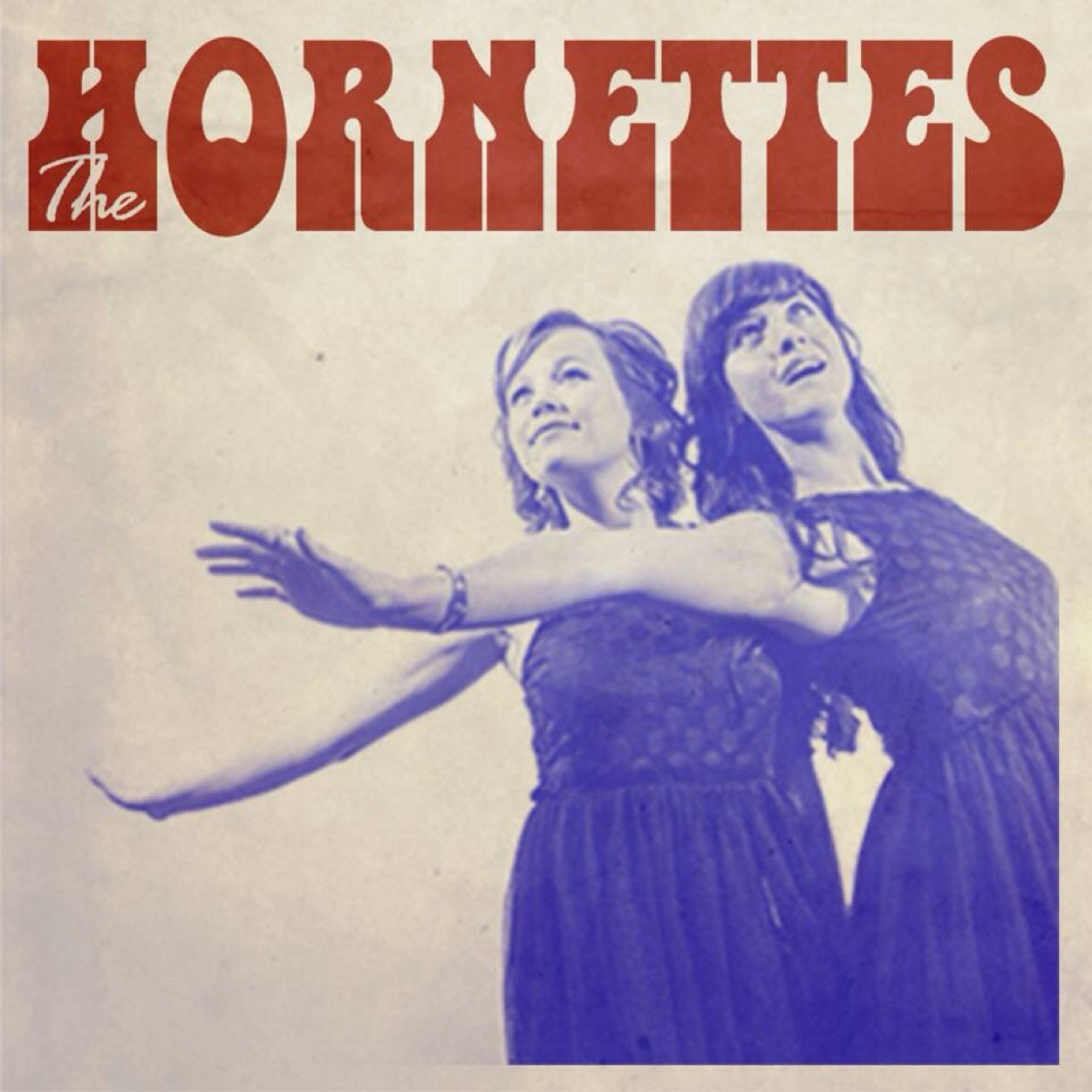 Horns & hairdos, suits & swagger. The Hornettes keep the energy peaking and revive classic motown/soul/funk sounds that will leave you sweaty & satisfed...