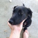 James Buhr - @FookieBookie23 - Twitter