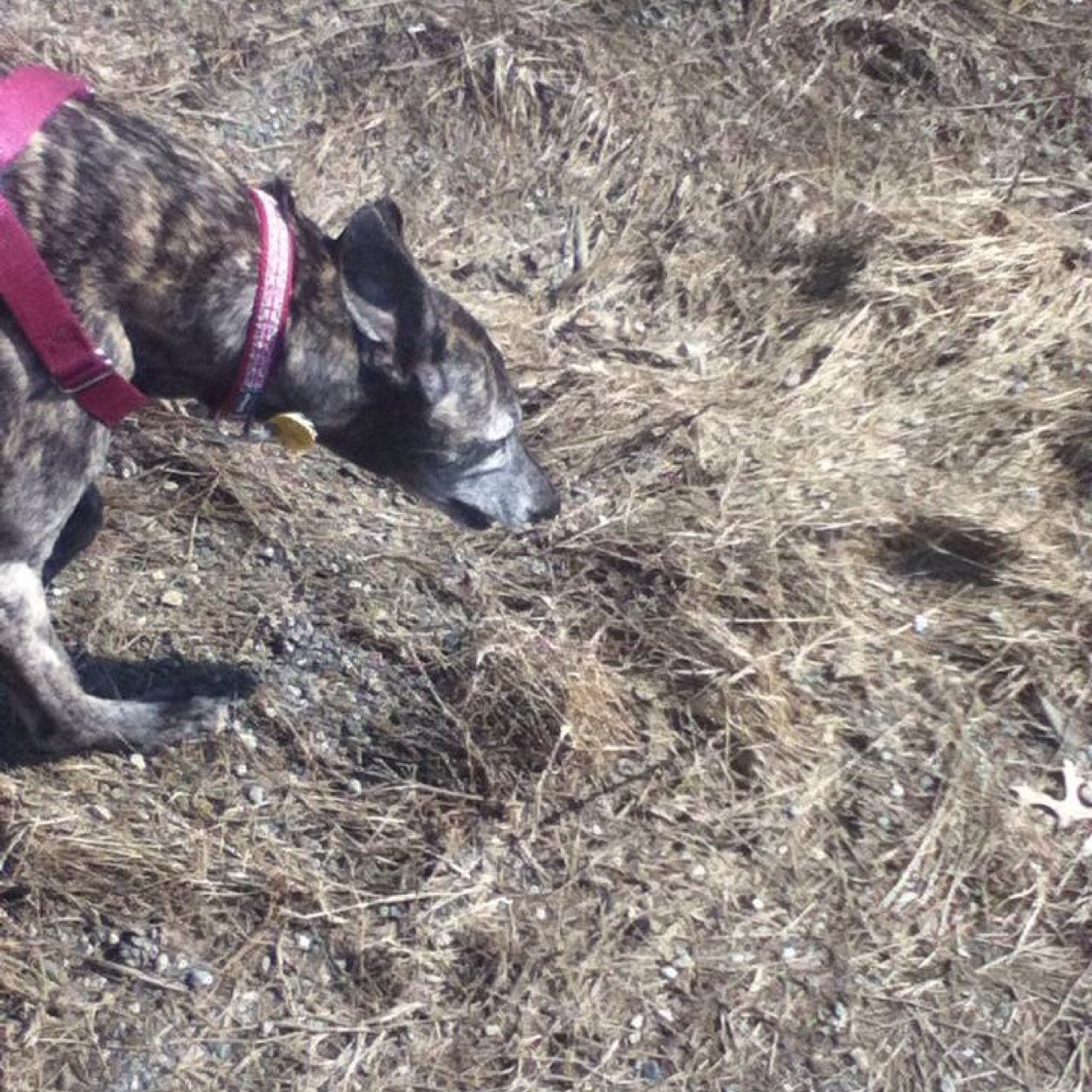 T4r4C0nw47's profile picture. 