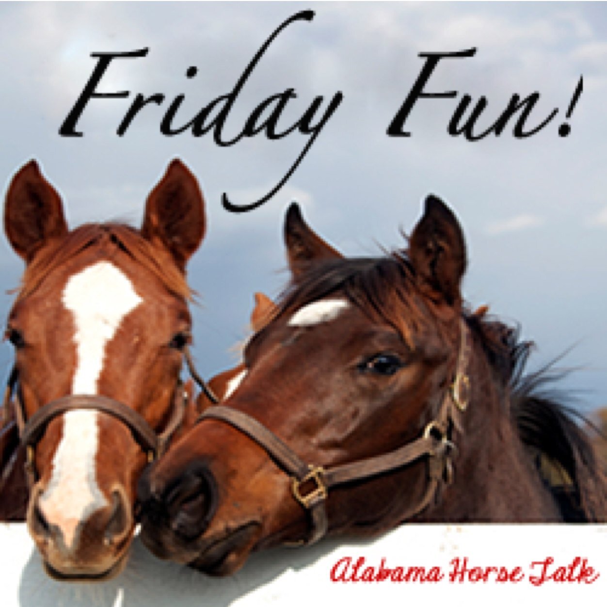 rehaabadeenb's profile picture. 