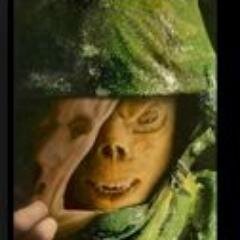 VVITTOP's profile picture. 