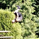 Nathan Daly - @nathan_daly43 - Twitter