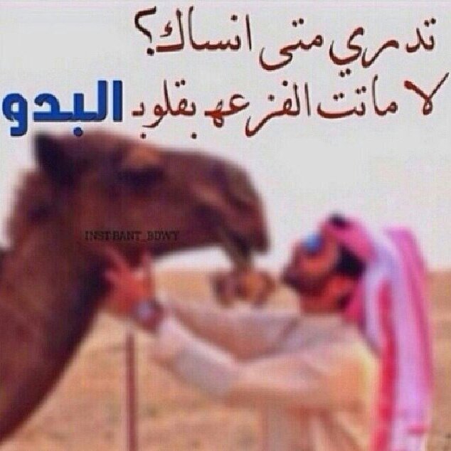 من عجز أن يوصلك .قال فيك
